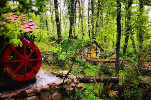 Ormanya - Max Fun Eğlence Merkezi - Sapanca Gölü