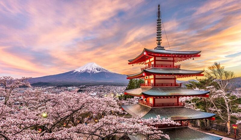 Dolu Dolu Japonya Turu Rotası