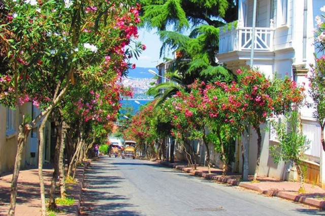 Heybeliada & Büyükada Turu